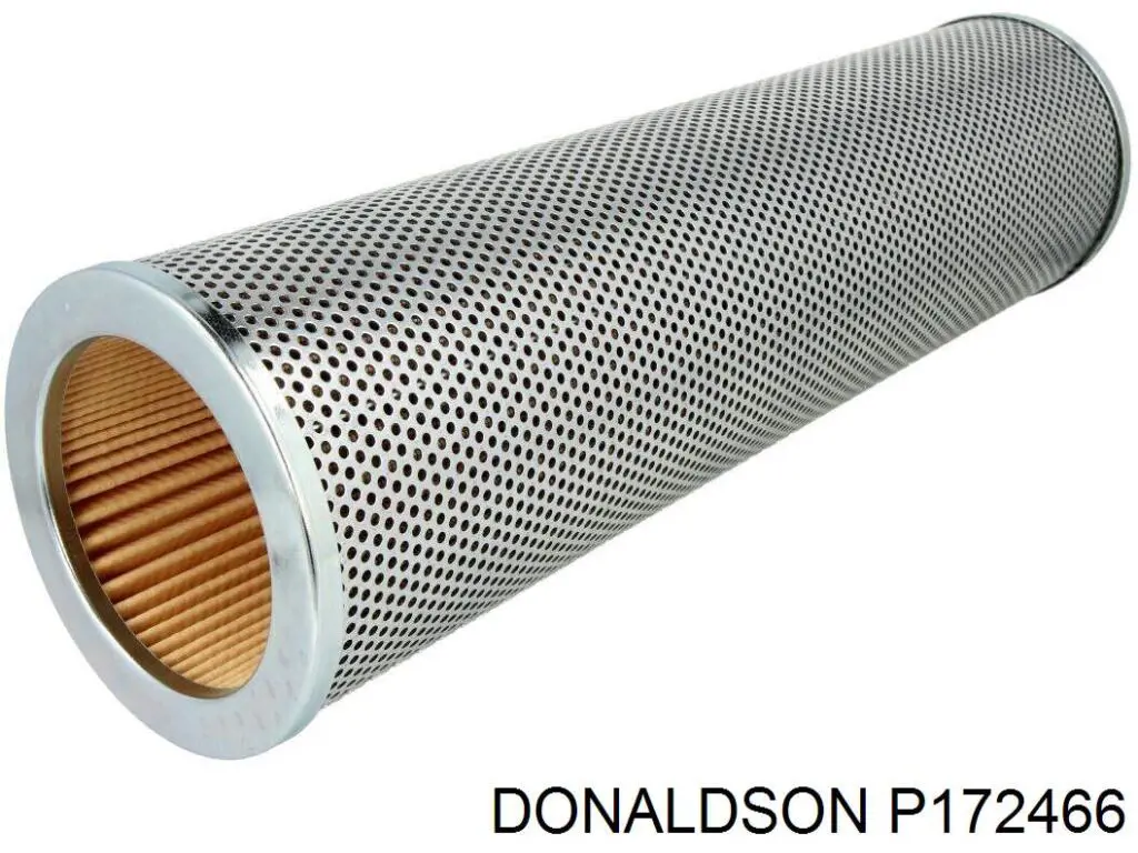 P172466 Donaldson 