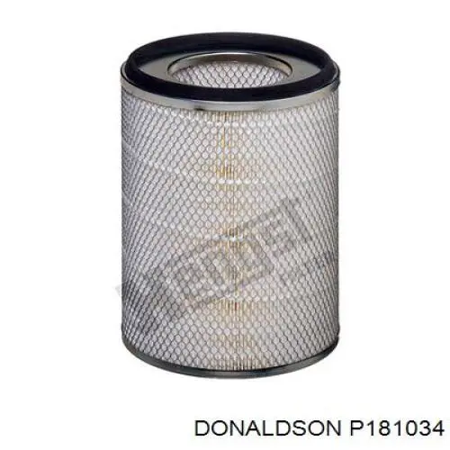 P181034 Donaldson Повітряний фільтр двигуна
