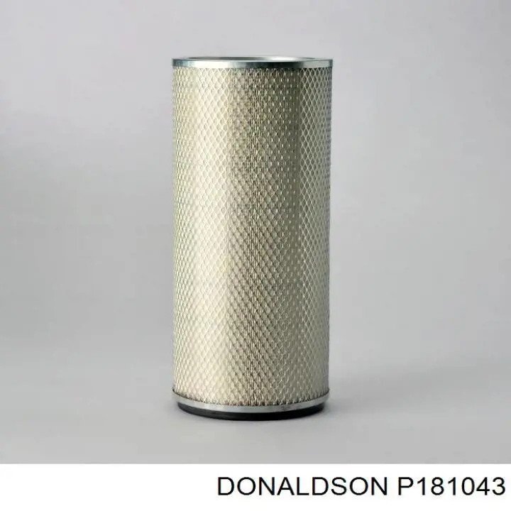 Купити P181043 Donaldson 