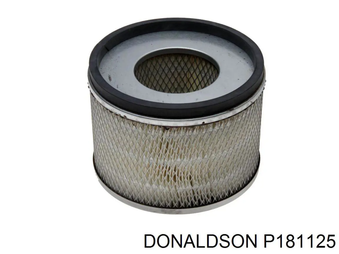 Елемент повітряного фільтра Donaldson P181125 ціна, від 59.28 USD