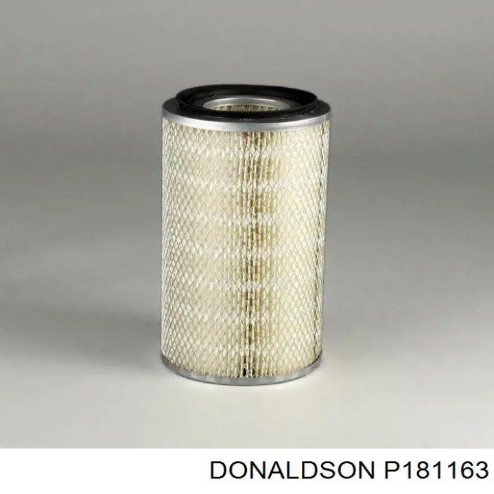 P181163 Donaldson Внутрішньосалонний фільтр