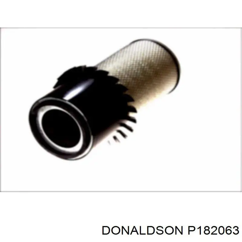 Купити P182063 Donaldson Автомобільний фільтр повітря