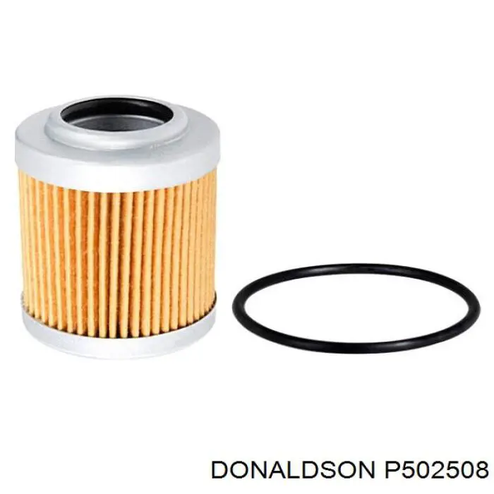  EY1007HD577 Hengst