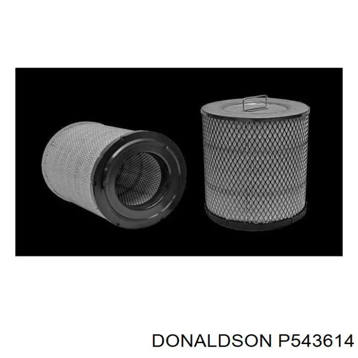 P543614 Donaldson Повітряний фільтр двигуна