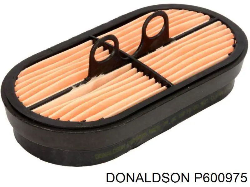 Купити P600975 Donaldson Автомобільний фільтр повітря