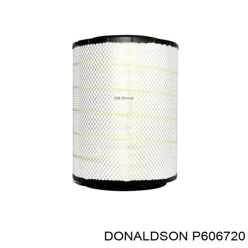 P606720 Donaldson Повітряний фільтр двигуна