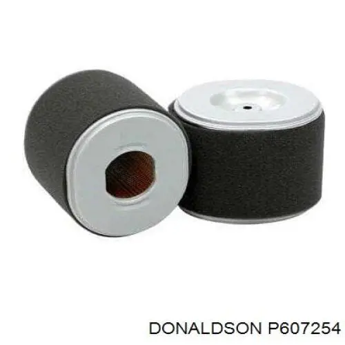 Купити P607254 Donaldson Автомобільний фільтр повітря