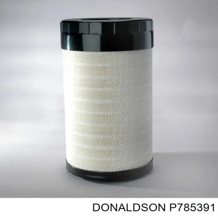 P785391 Donaldson 
