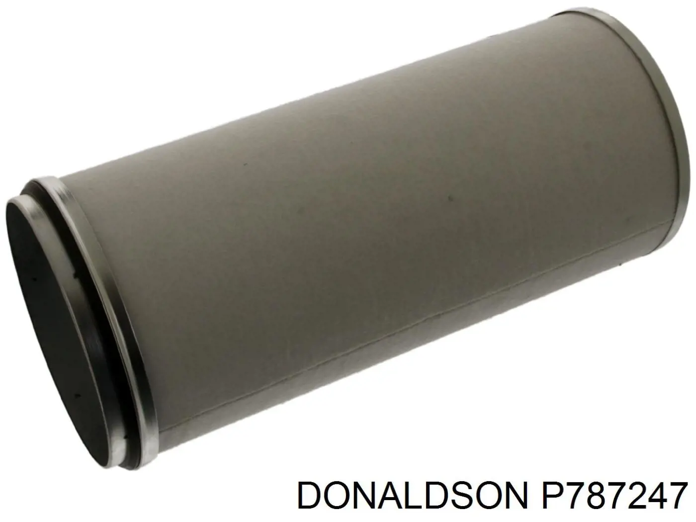Купити P787247 Donaldson Фільтр повітряний насосу подачі вторинного повітря