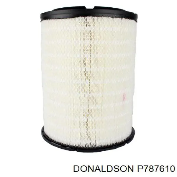Купити P787610 Donaldson Автомобільний фільтр повітря