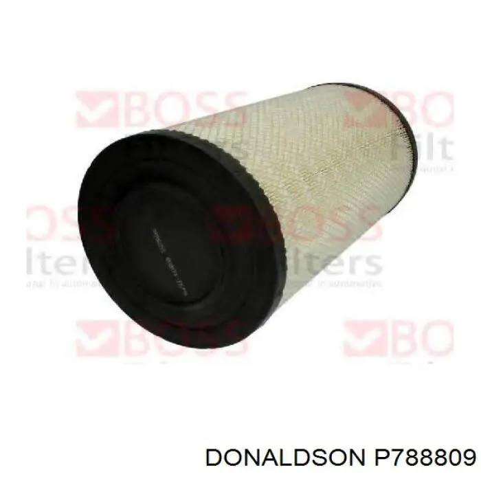 Купити P788809 Donaldson Автомобільний фільтр повітря