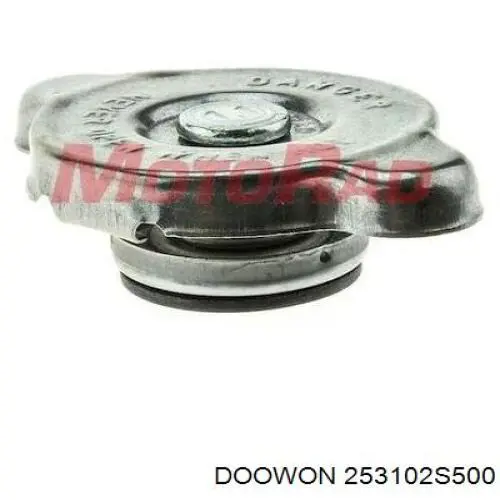 253102S500 Doowon Радіатор охолодження двигуна