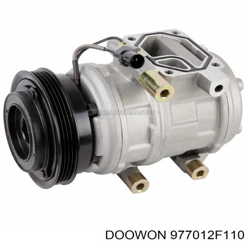 977012F110 Doowon Компресор холодоагенту