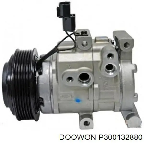 P300132880 Doowon Компресор холодоагенту