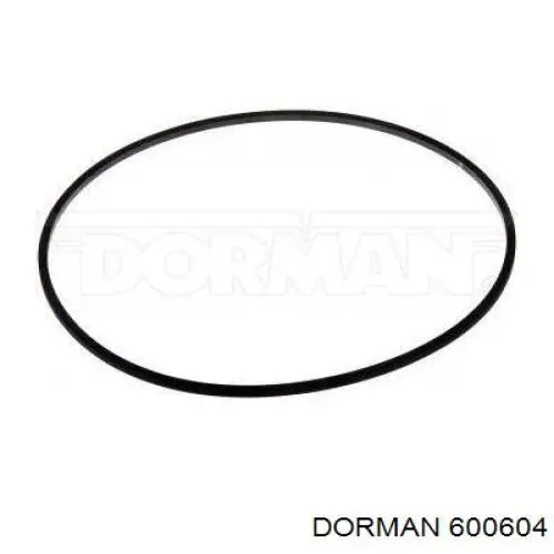  600604 Dorman