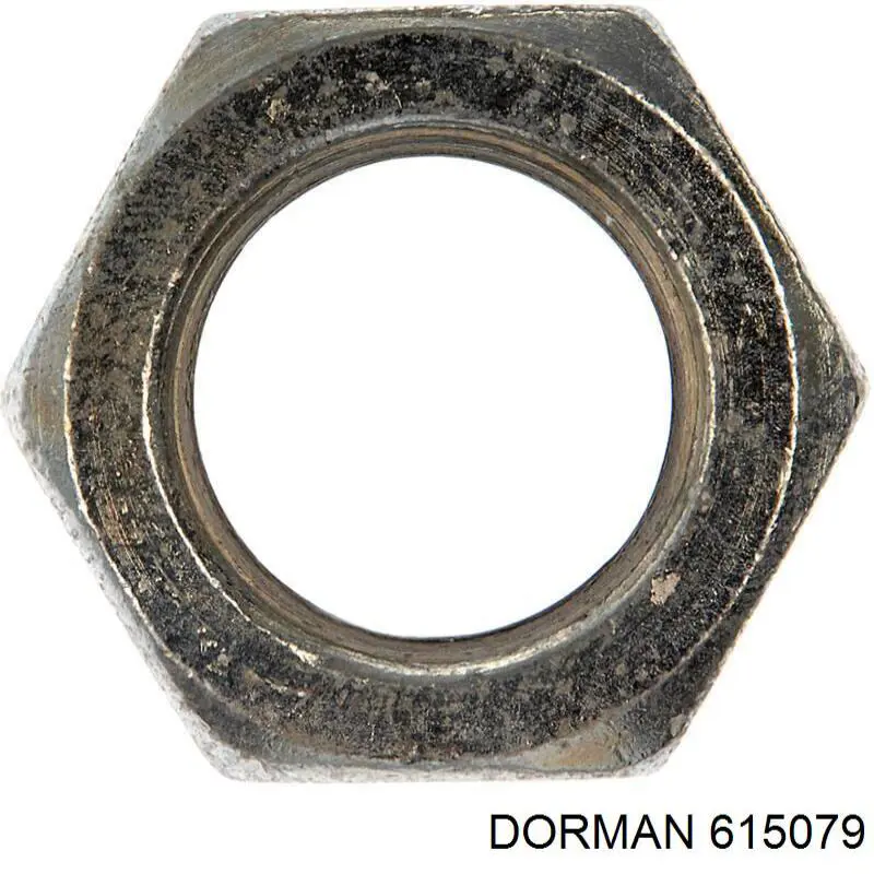  615079 Dorman