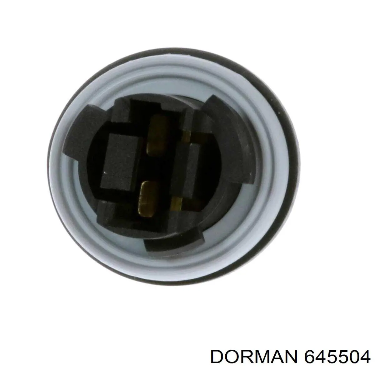  645504 Dorman