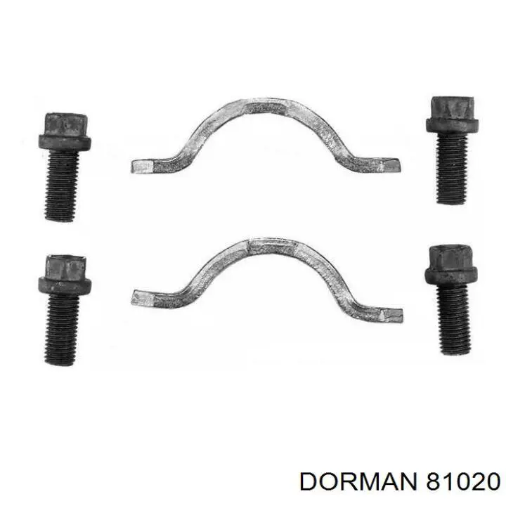  81020 Dorman