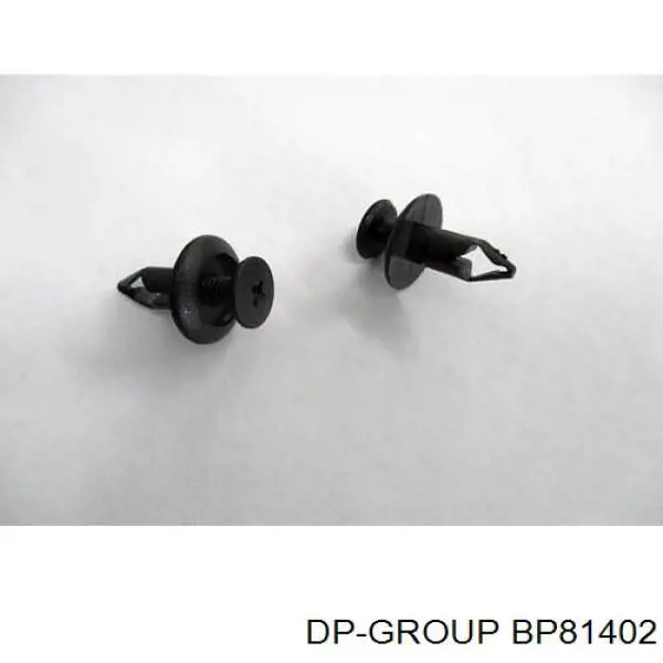 Купити BP81402 DP Group Заглушка гайки кріплення повідка заднього двірника