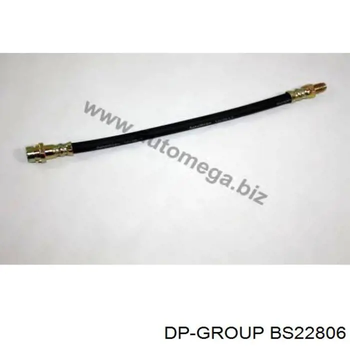 BS22806 DP Group Шланг гальмівний задній