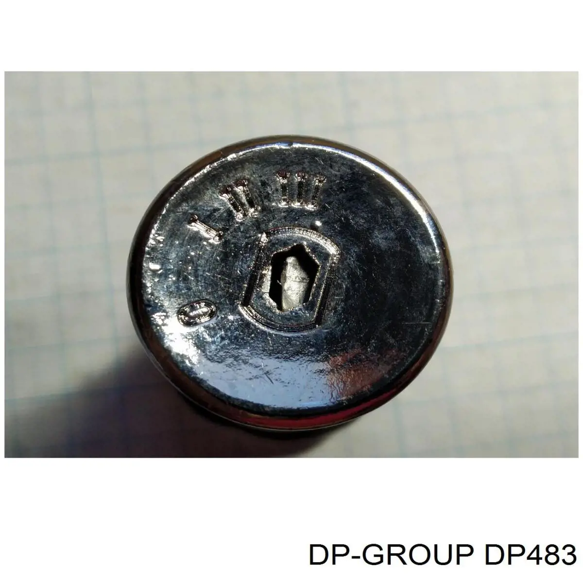 DP483 DP Group Личинка замка запалювання
