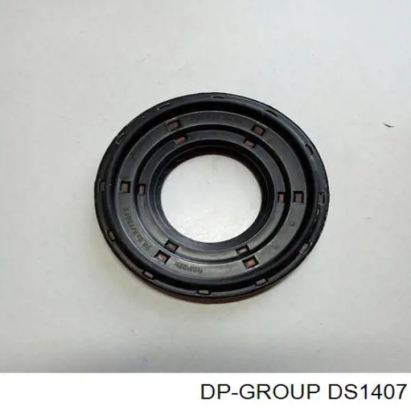 DS1407 DP Group Фланець хвостовика заднього редуктора