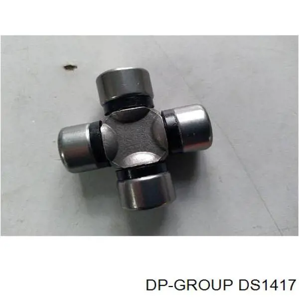 DS1417 DP Group 