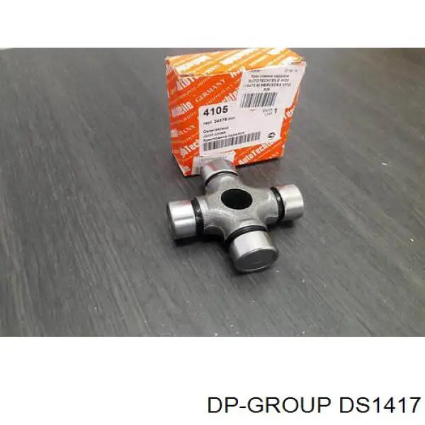  DS1417 DP Group