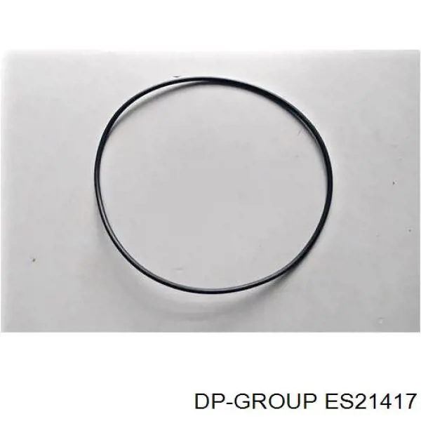 ES21417ARI DP Group прокладка паливного насосу пнвт