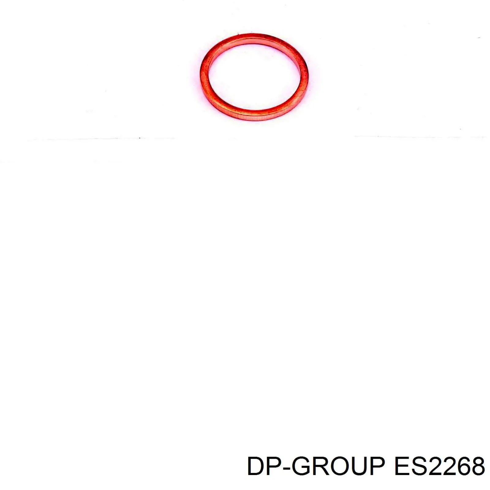 Купити ES2268 DP Group Кільце ущільнювальне свічкового колодязя