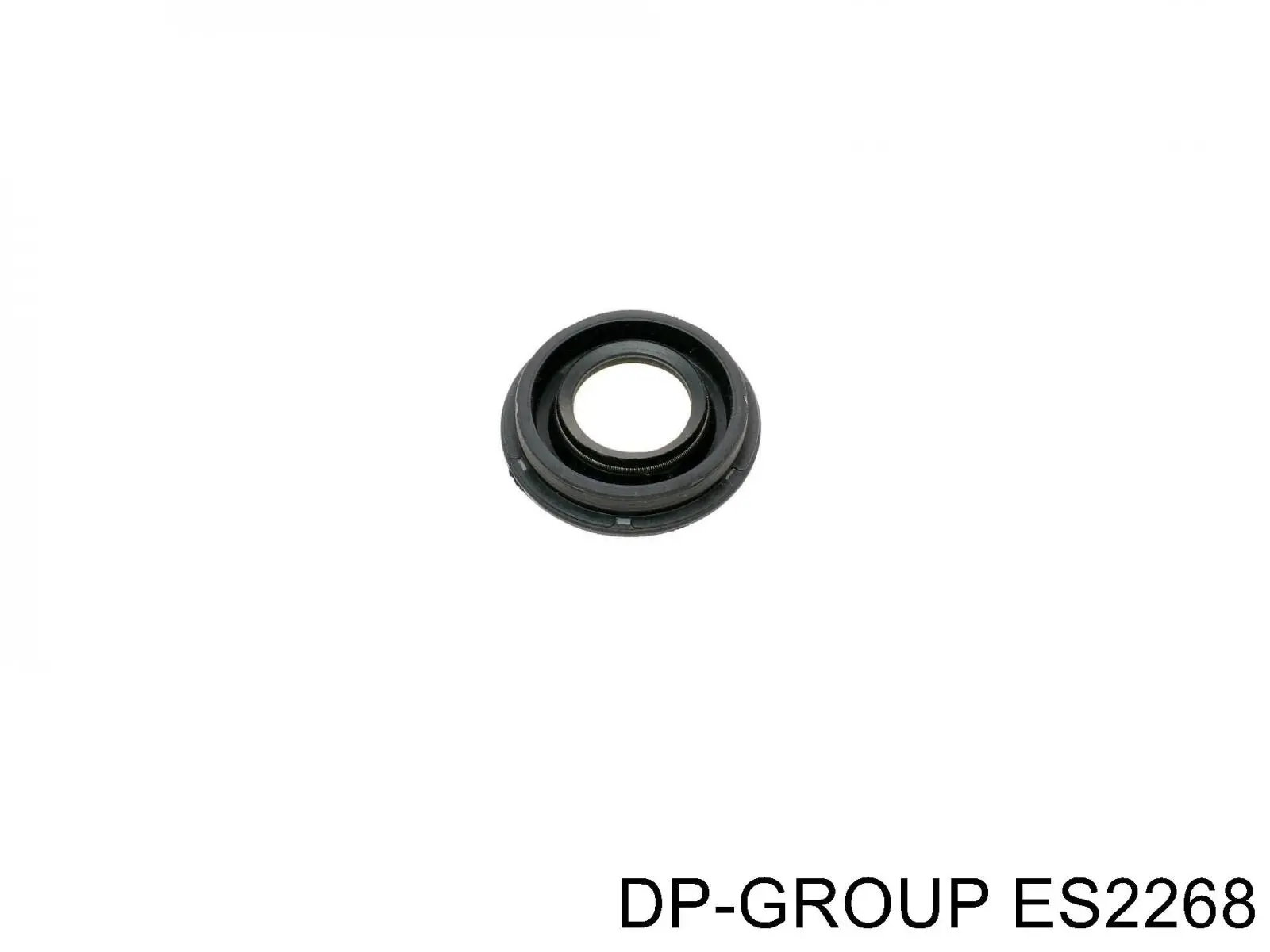 ES2268 DP Group Кільце ущільнювальне свічкового колодязя