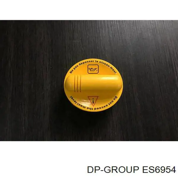  ES6954 DP Group