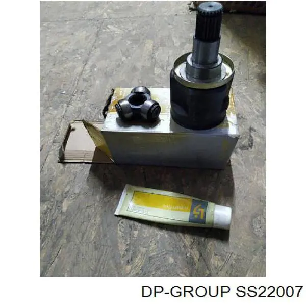 SS22007 DP Group Трипоїд