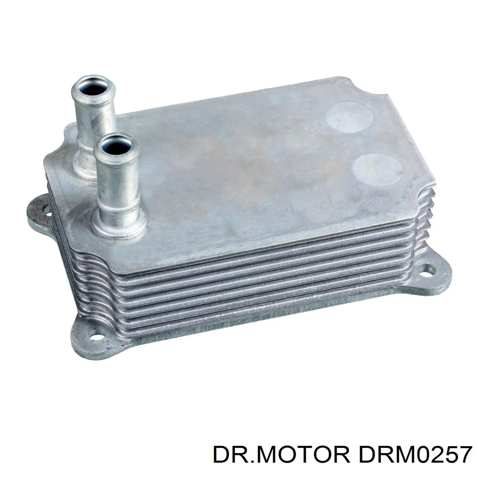 Радіатор масляний (холодильник), під фільтром DRM0257 Dr.motor