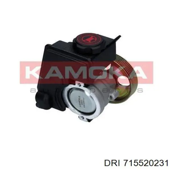 00004007V6 Peugeot/Citroen Насос гідропідсилювача