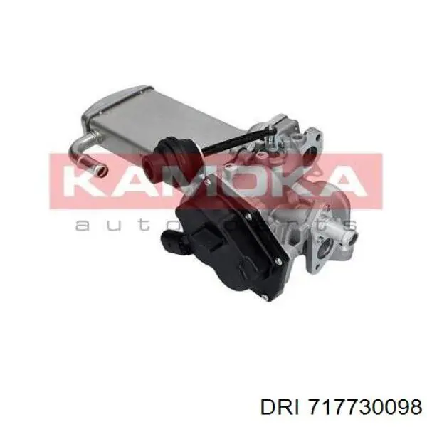 Радіатор системи EGR рециркуляції вихлопних газів 717730098 DRI