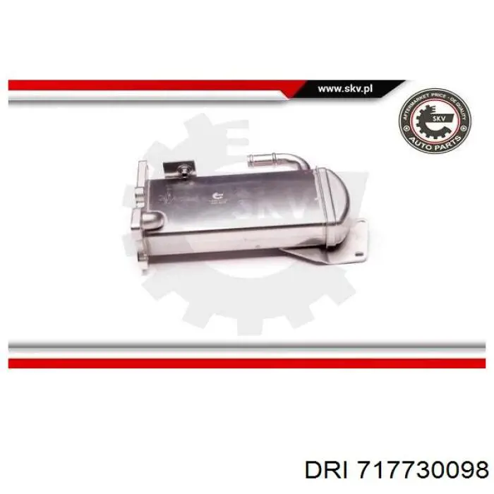 Радіатор системи рециркуляції ОГ DRI 717730098