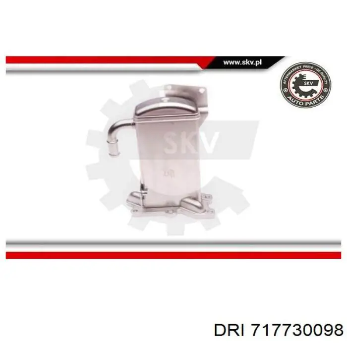 Купити 717730098 DRI Радіатор системи EGR рециркуляції вихлопних газів