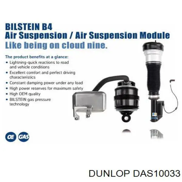 Стійка задня права Dunlop DAS10033
