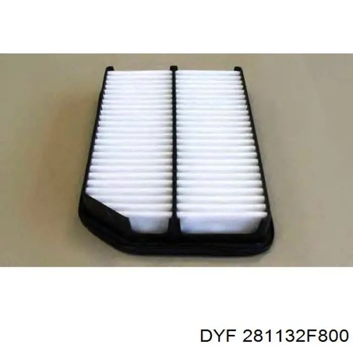 281132F800 DYF