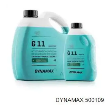 500109 Dynamax 