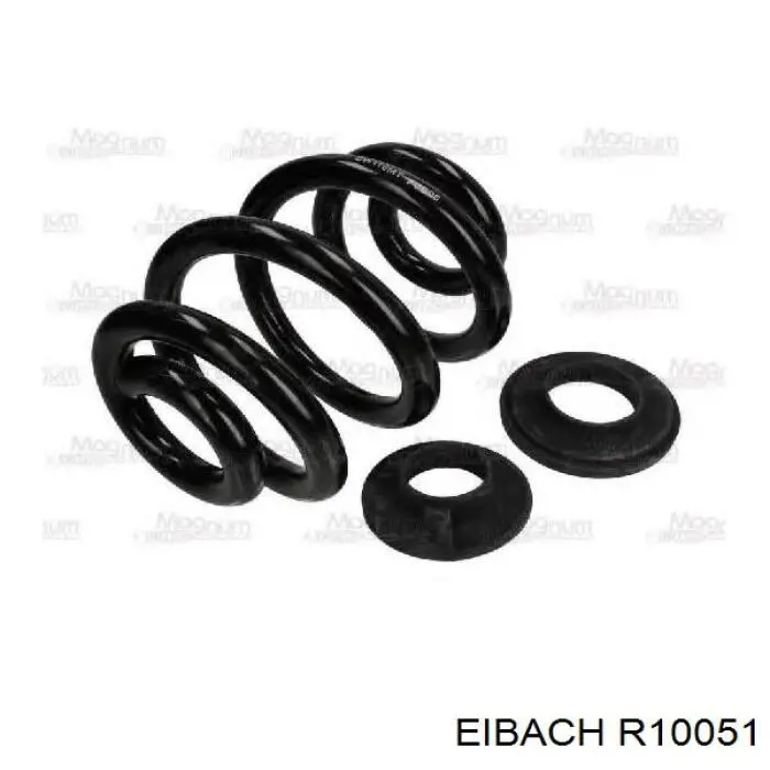 Купити R10051 Eibach Задні пружини