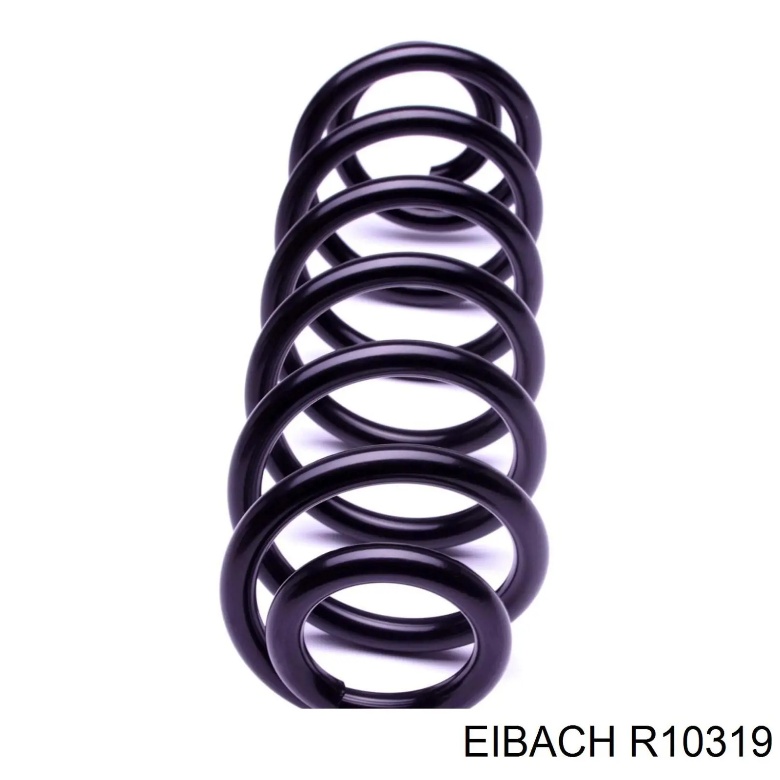 Задні пружини R10319 Eibach