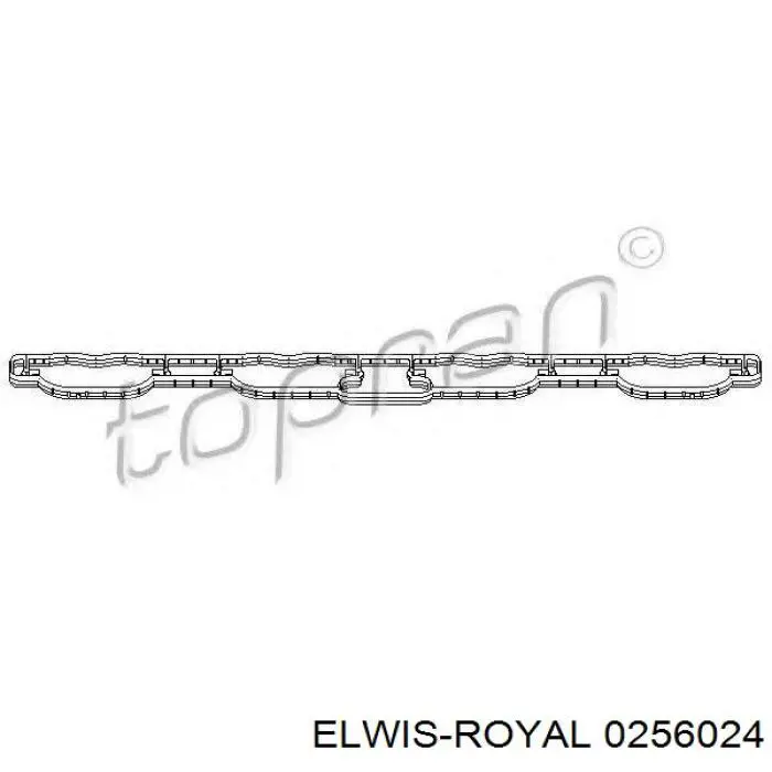 0256024 Elwis Royal прокладка впускного колектора