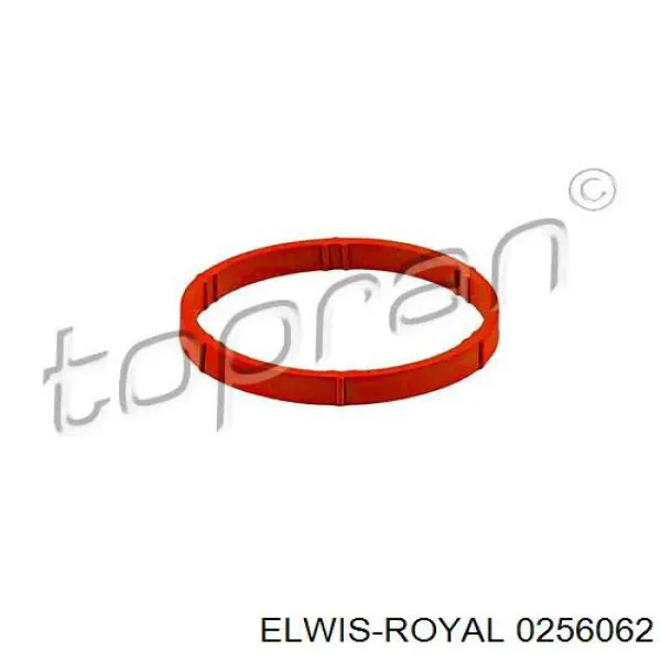 0256062 Elwis Royal прокладка впускного колектора