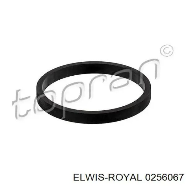 0256067 Elwis Royal прокладка впускного колектора