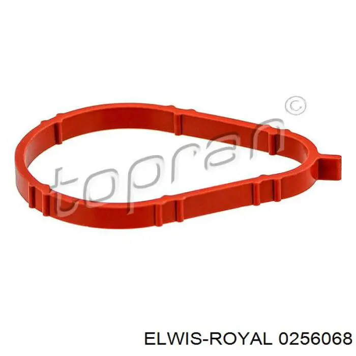 0256068 Elwis Royal прокладка впускного колектора