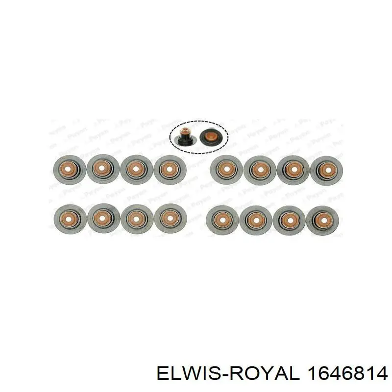 Купити 1646814 Elwis Royal 
