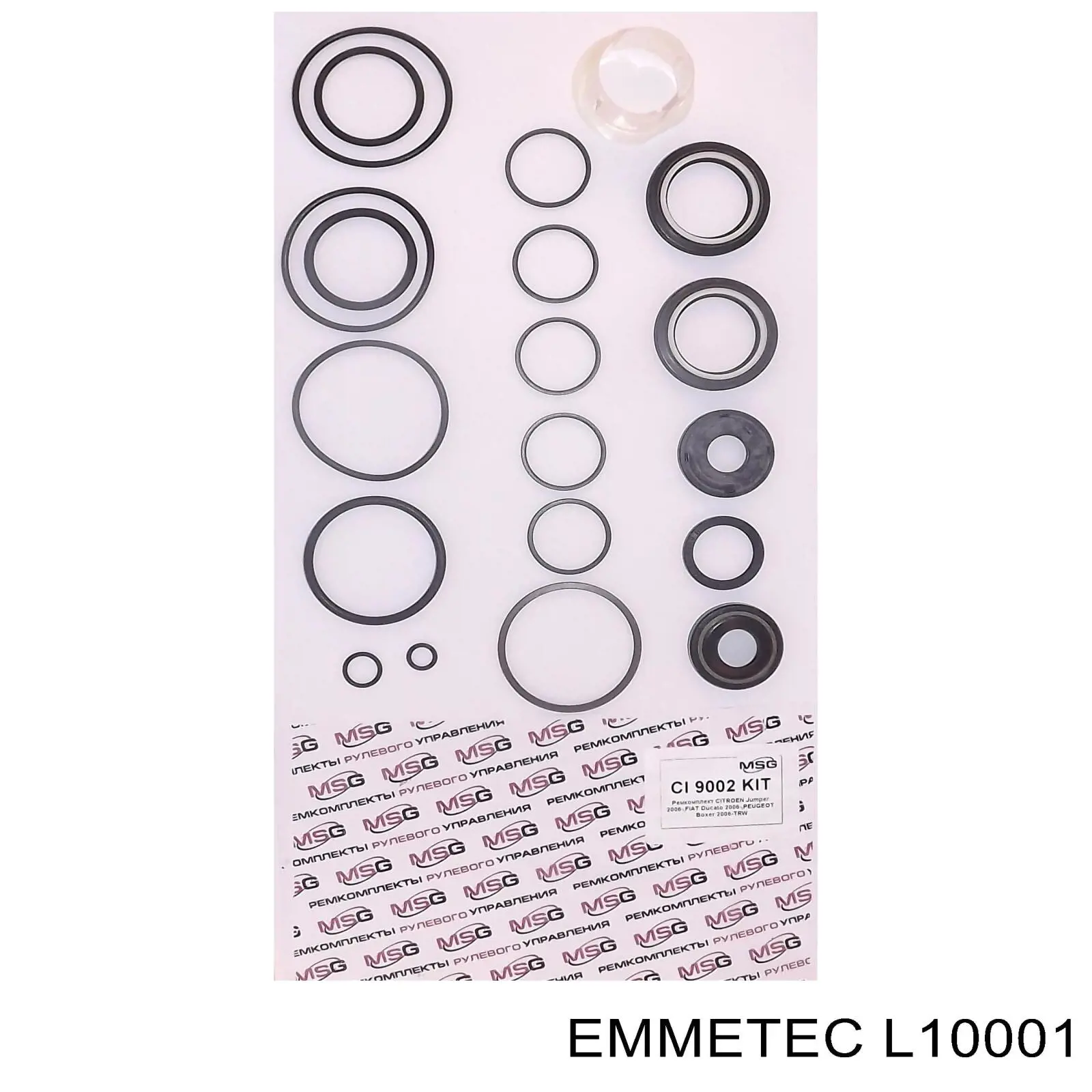  L10001 Emmetec