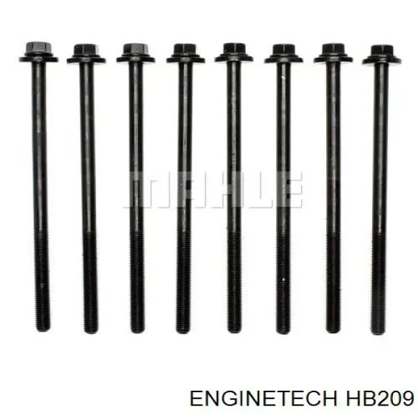  HB209 Enginetech